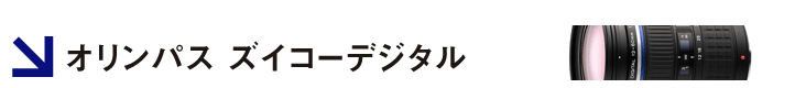 �I�����p�X�Y�C�R�[�f�W�^��