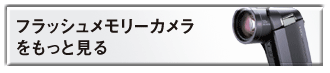 フラッシュメモリーカメラをもっと見る