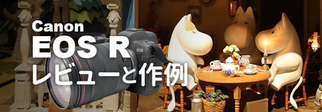 Canon EOS R r[ƍ