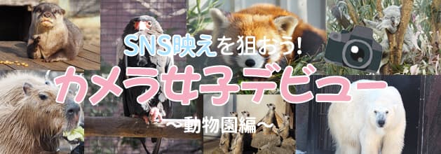 SNSf_IJqfr[@`ҁ`