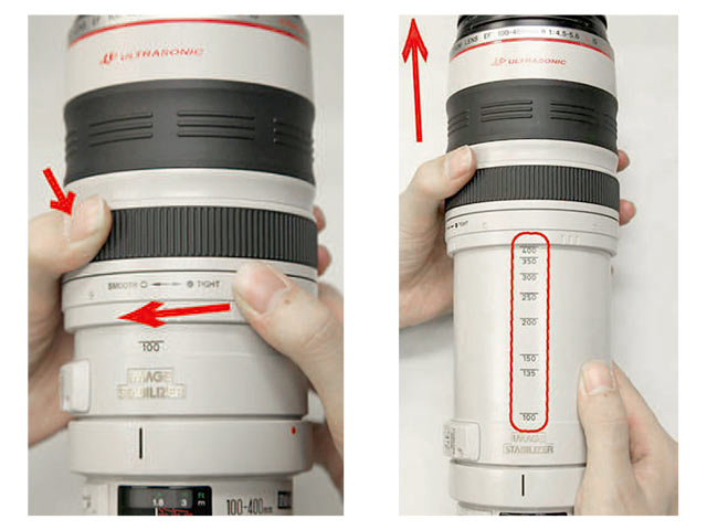 望遠レンズ：デジタル一眼レフレンタルEF100-400mm F4.5-5.6L IS USM