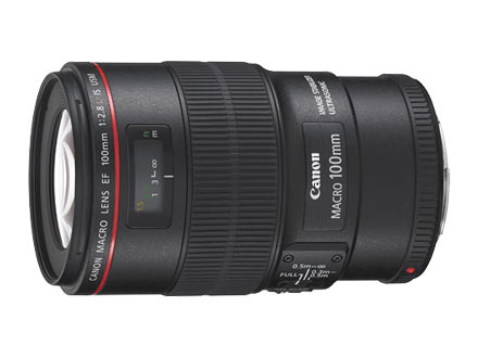 Canon 100mm マクロ - レンズ(ズーム) Canon 100mm マクロ - レンズ(ズーム)