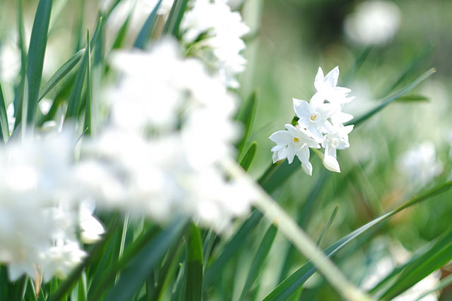 XF56mm F1.2 RTvQ