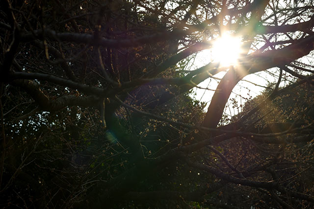 XF56mm F1.2 RTvX