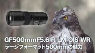 GF500mmF5.6 R LM OIS WR [WtH[}bg500mm̖