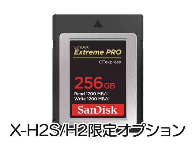 TfBXN Extreme PRO CFexpress Card Type B 256GBiSDCFE-256Gj