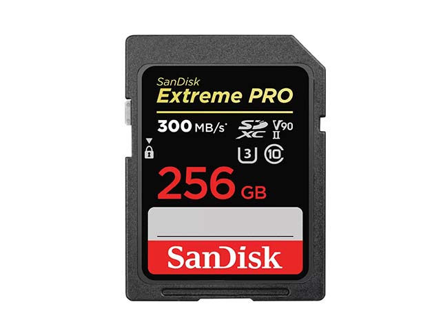 サンディスク Extreme Pro SDXC 256GB