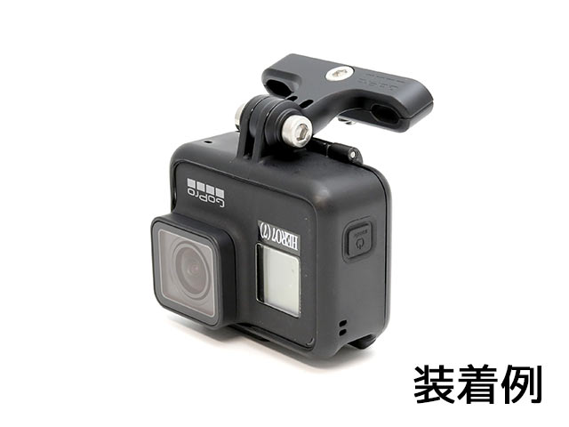 GoProANZT