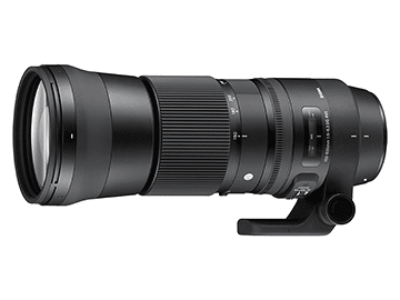 SIGMA 150-600mm F5-6.3 DG OS HSM Contemporary ニコン用 小型・軽量 ...