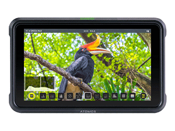 ATOMOS SHINOBIiVmrj