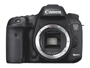 Canon EOS 7D Mark IIi{fB̂݁j