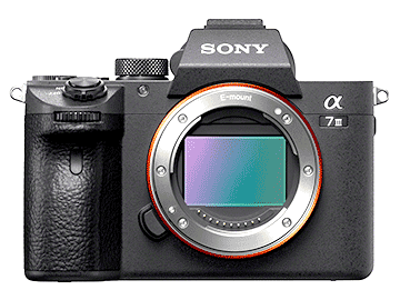 SONY 7III ILCE-7M3i{fB̂݁j