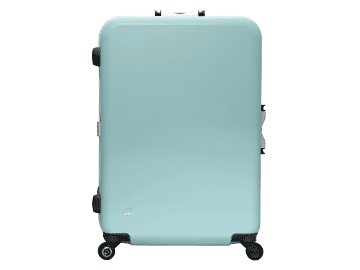 �G�[�X �v���e�J �G�L�m�b�N�X ���C�g ���[ L�T�C�Y �^�[�R�C�Y�u���[