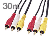 RCArfIP[u 30m