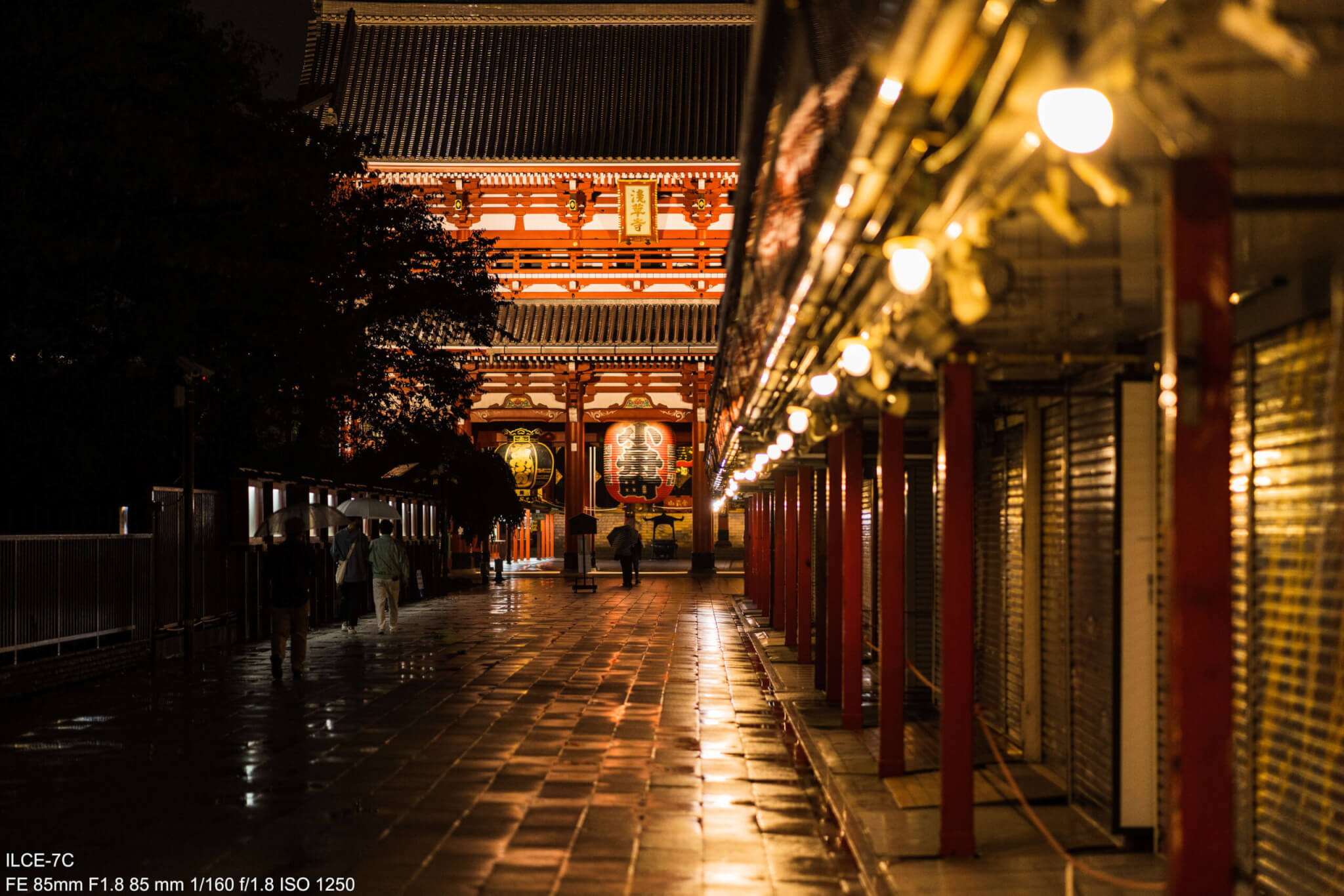 SEL85F18(FE85mm F1.8 ソニーEマウント)を持って雨の中撮影 SEL85F18(FE85mm F1.8 ソニーEマウント)を持って雨の中撮影