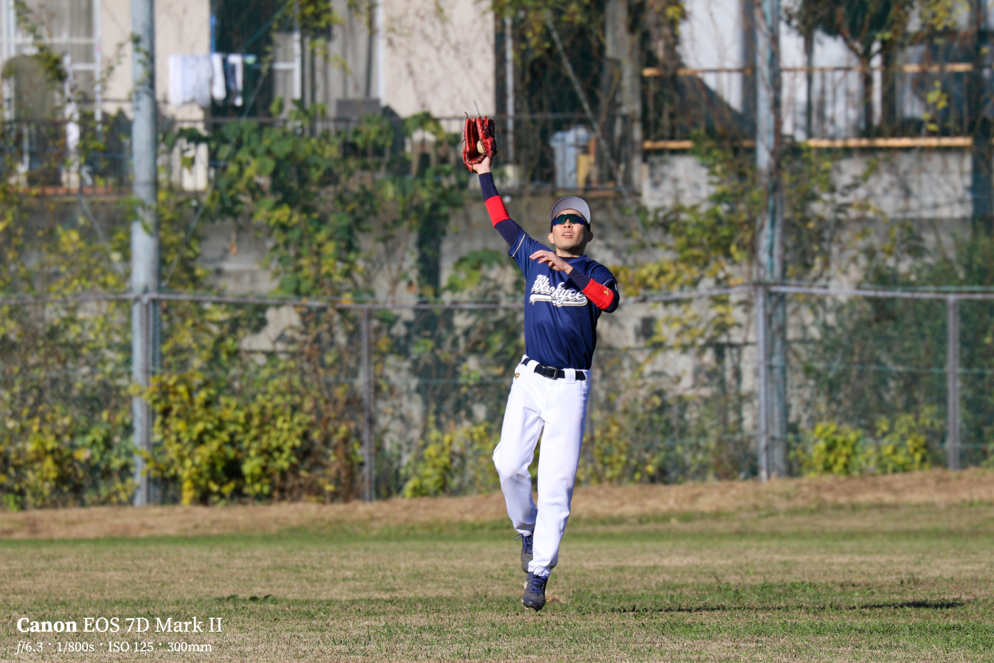 キヤノン・ニコン便利なスポーツ撮影セット撮り比べ! 大望遠 キヤノン・ニコン便利なスポーツ撮影セット撮り比べ! 大望遠