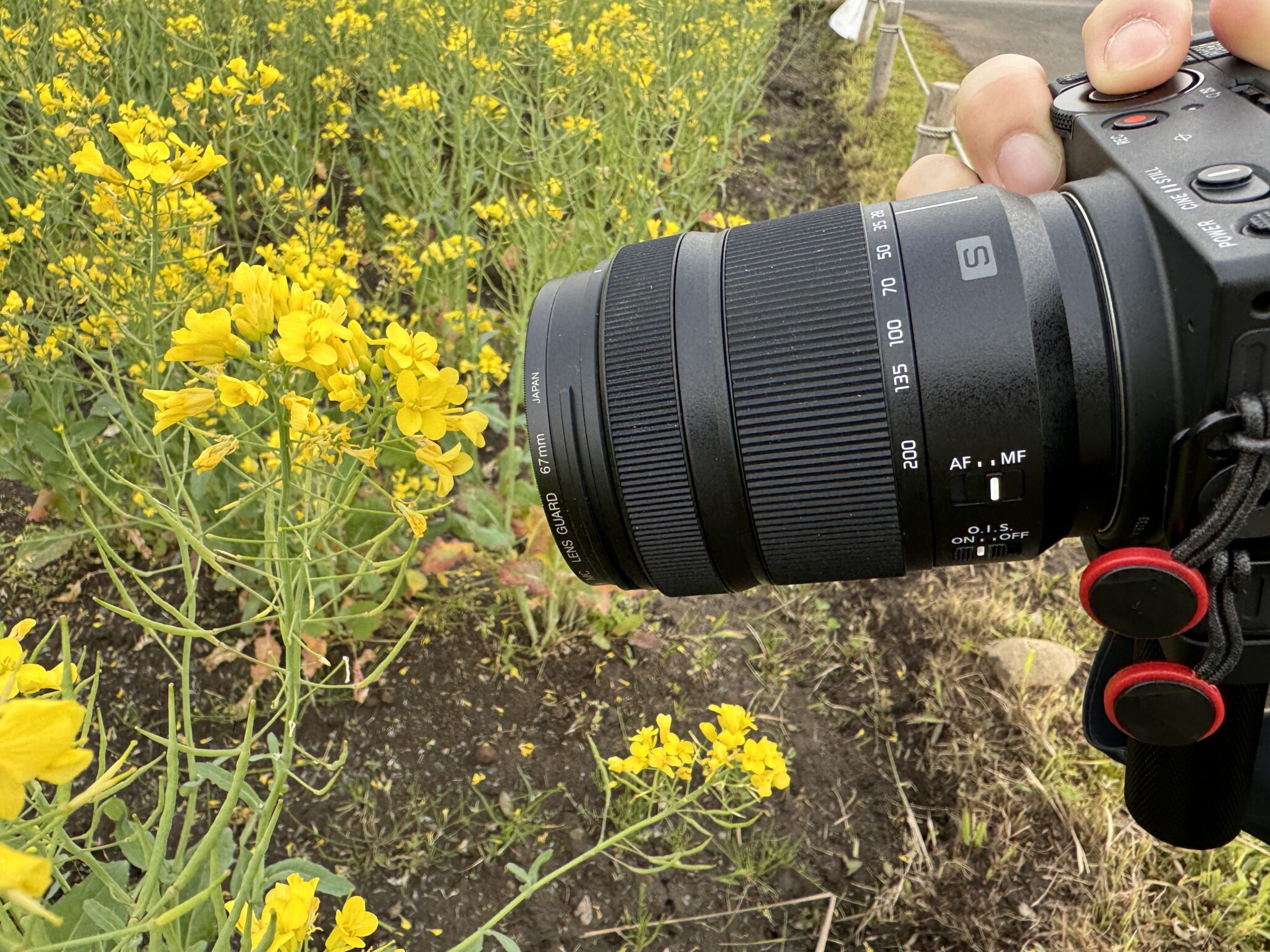 LUMIX S 28-200mm F4-7.1 MACRO O.I.S.』が良すぎた！ SIGMA fp