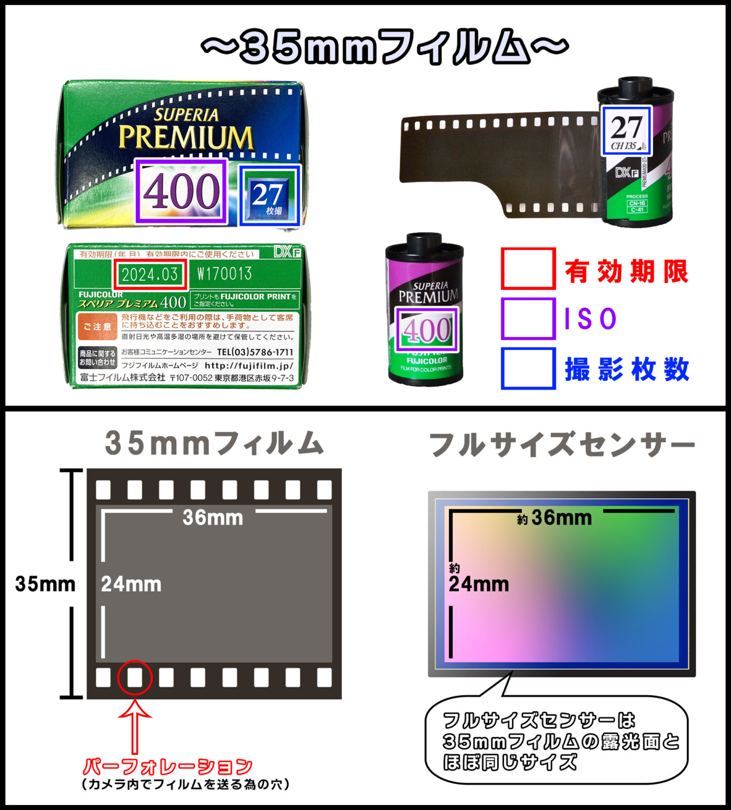 フィルムのいろは！PENTAX 17と学ぶフィルムカメラの基本