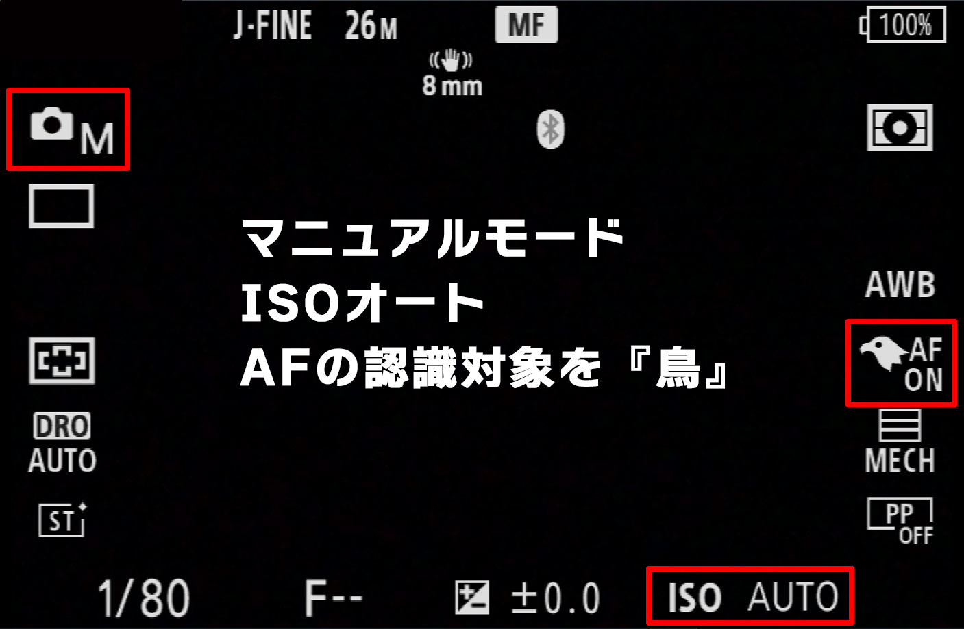 桜撮りのステップアップ! SONY α6700でメジロを撮ろう 桜撮りのステップアップ! SONY α6700でメジロを撮ろう