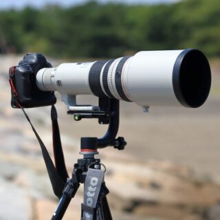 ママさん初心者OK！望遠レンズ！Canon一眼レフカメラをお持ちの方に！袋付き！ 初心者向け】望遠レンズの使い方と選び方｜お勧めレンズも紹介｜APEX