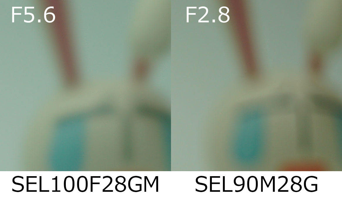SEL100F28GMで撮ったボケ味を見て写真が上手くなった気になろう SEL100F28GMで撮ったボケ味を見て写真が上手くなった気になろう