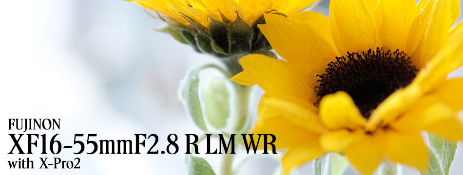 FUJINON XF16-55mmF2.8 R LM WR with X-Pro2