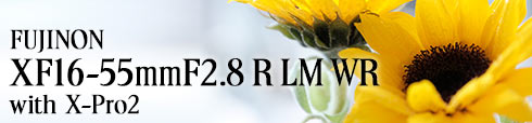 XF16-55mmF2.8 R LM WR with X-Pro2
