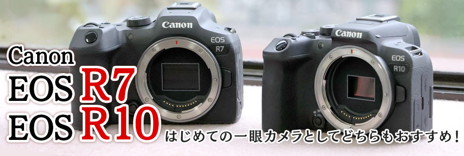 EOS R7とEOS R10を比較した結論は「どちらもおすすめ！」｜カメラ ...