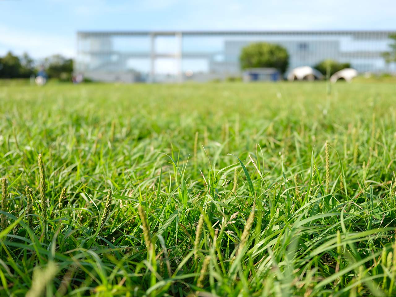 F4�@SS1/500�@ISO200 PROVIA�@4:3�@�f�W�^���e���R��45mm