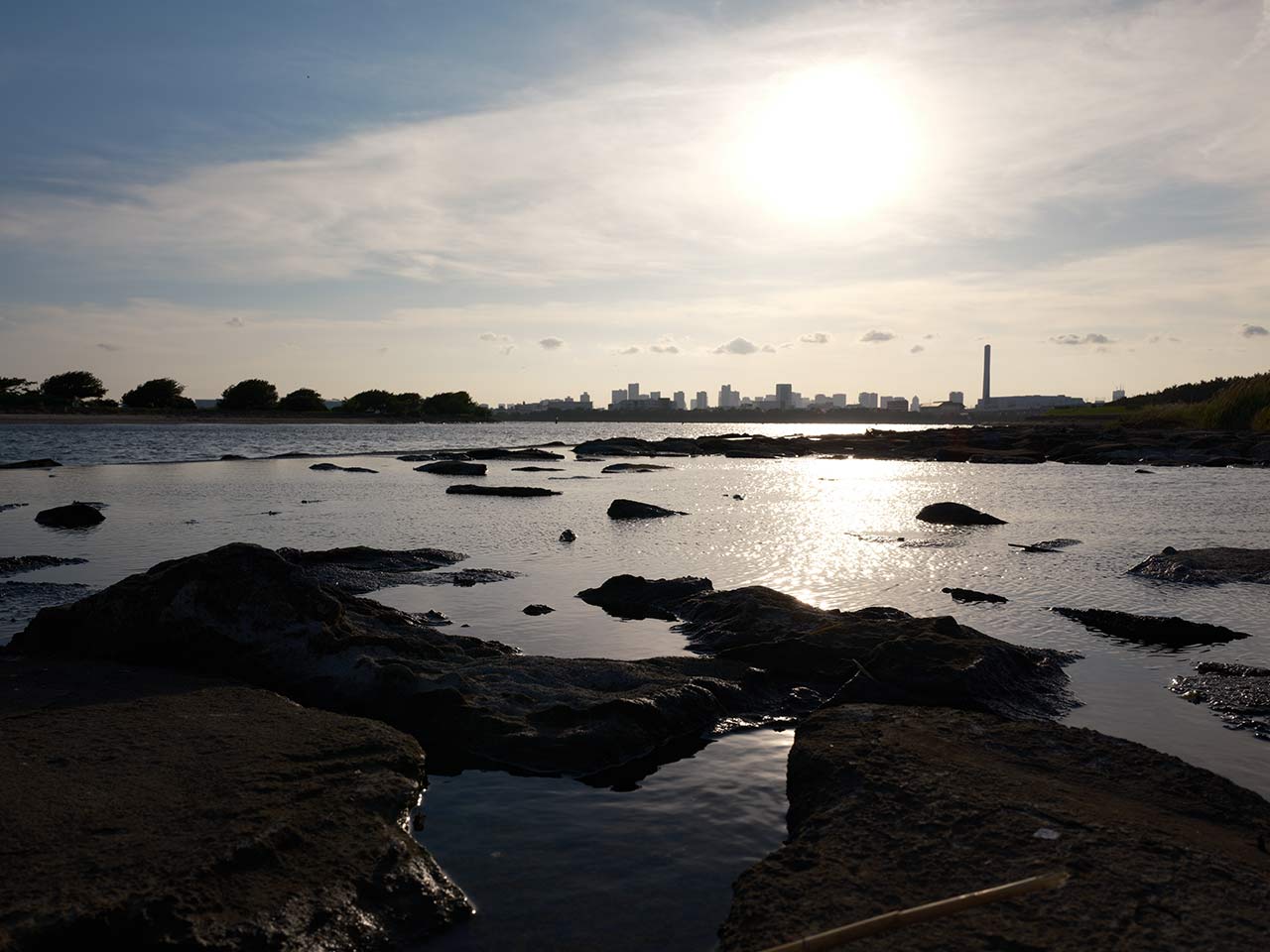 F16�@SS1/125�@ISO100�@NOSTALGIC Neg.�@4:3