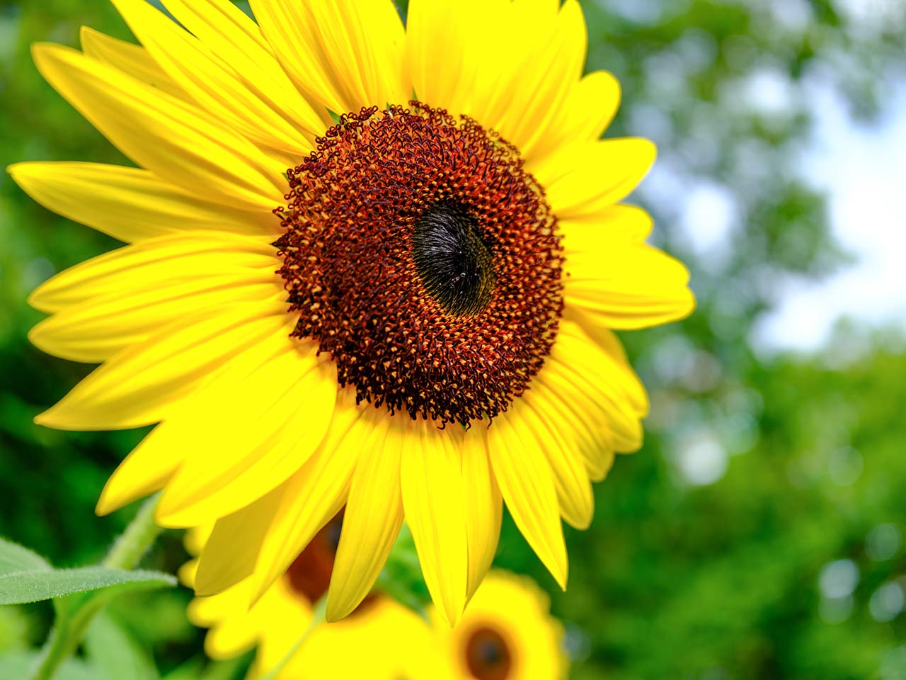 F4�@SS1/250�@ISO160�@Velvia�@4:3  �f�W�^���e���R��45mm