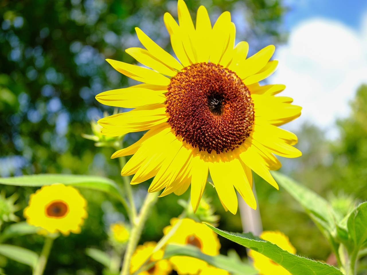 F4�@SS1/125�@ISO80�@Velvia�@4:3