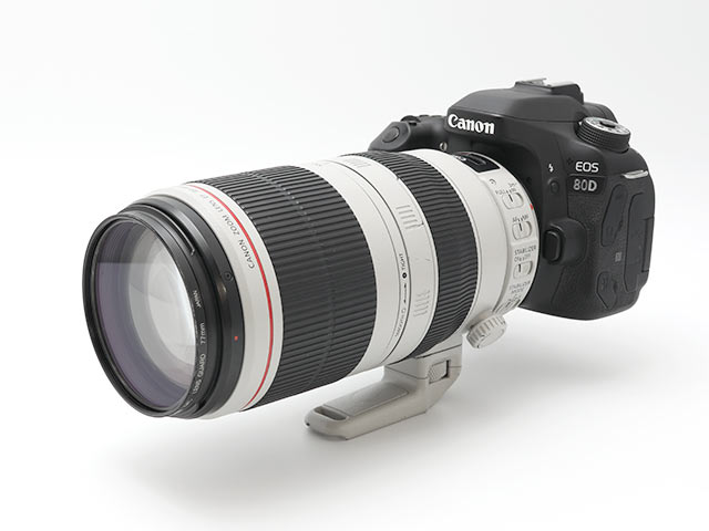 EOS 80D + EF100-400mm F4.5-5.6L IS II USM 100mmフード無