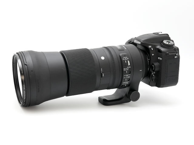 D7500 + 150-600mm F5-6.3 DG OS HSM Contemporary 150mm