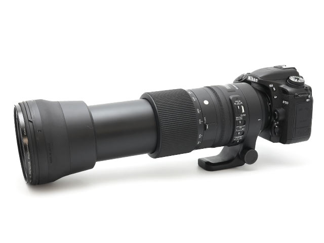 D7500 + 150-600mm F5-6.3 DG OS HSM Contemporary 600mm