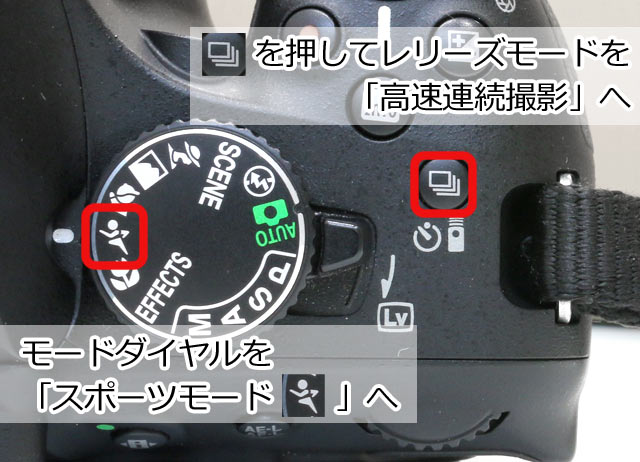 運動会おすすめカメラ特集 ワンポイントアドバイス よくある質問 用語集 運動会おすすめカメラ特集 ワンポイントアドバイス よくある質問 用語集