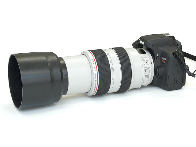 EOS Kiss X8i + EF70-300mm F4-5.6L IS USM 300mmフード付