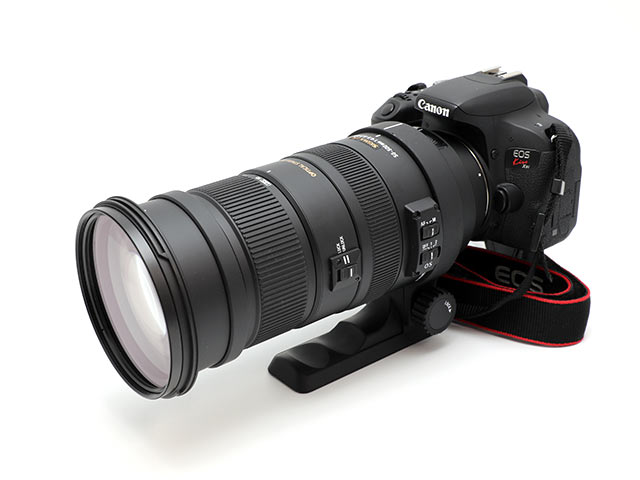 EOS Kiss X9i + APO 50-500mm F4.5-6.3 DG OS HSM 50mmフード無